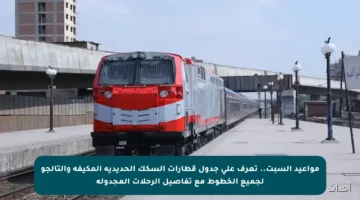 مواعيد السبت.. تعرف على جدول قطارات السكك الحديدية المكيفة والتالجو لجميع الخطوط مع تفاصيل الرحلات المجدولة